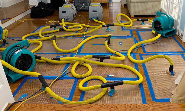 Professional Water Extraction technician working in Dallas, TX